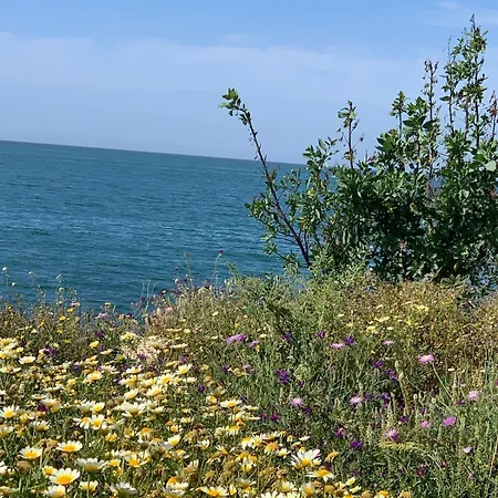 Rincon De Brisa * Malaga